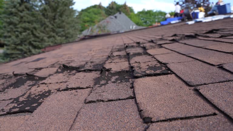 Best Hot Roofs  in Jamestown, OH
