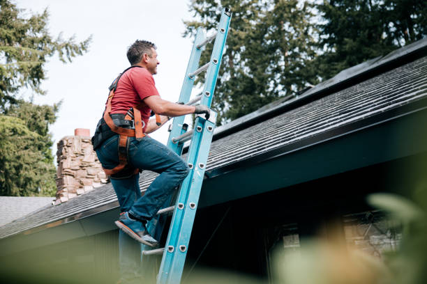 Best Roof Maintenance and Cleaning  in Jamestown, OH