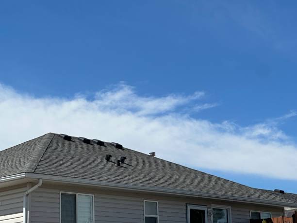 Fast & Reliable Emergency Roof Repairs in Jamestown, OH